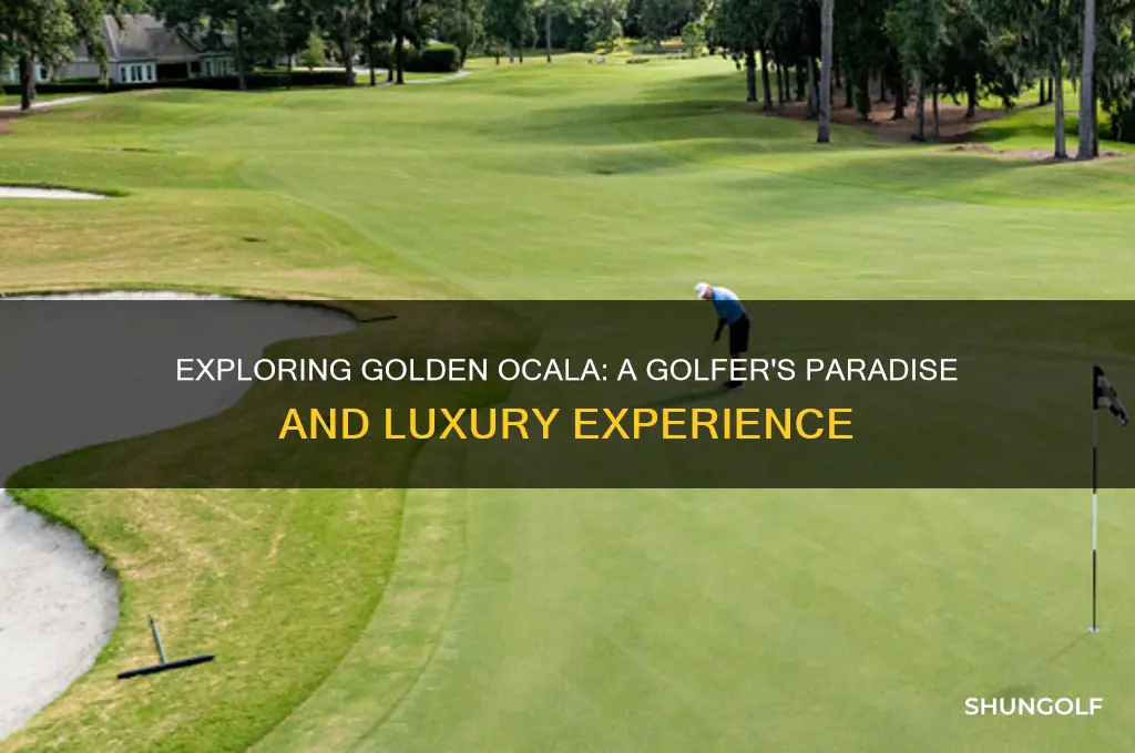 does golden ocala golf course