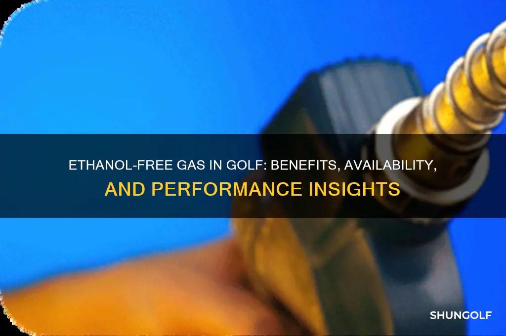 does golf 90 ethanol free gas have