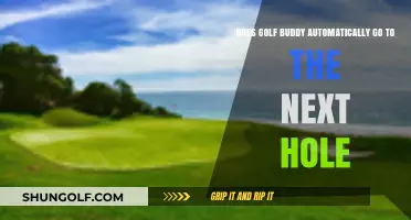 Does Golf Buddy Automatically Advance to the Next Hole?