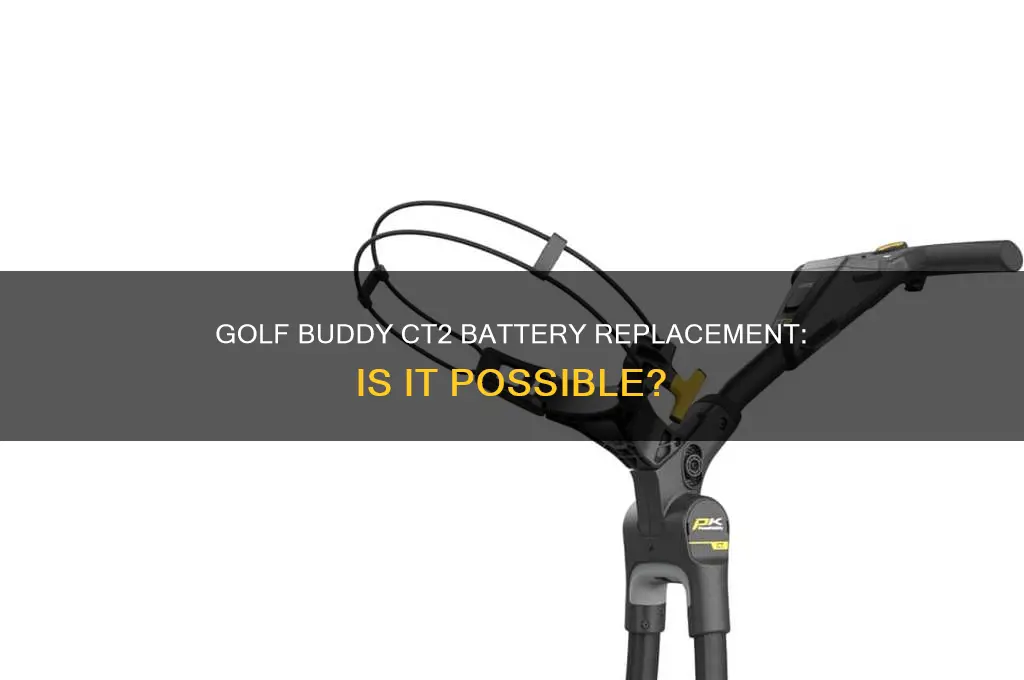 does golf buddy ct2 have replaceable battery