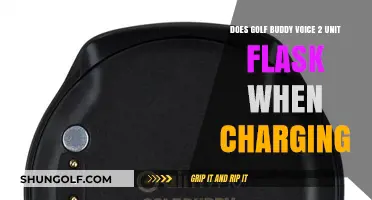 Golf Buddy Voice 2 Charging: Does the Unit Flask During Power-Up?