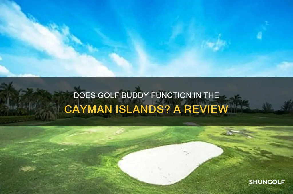 does golf buddy work in the caymen islands