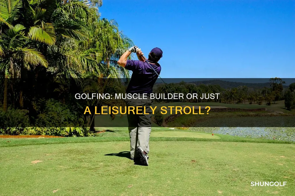 does golf build muscle