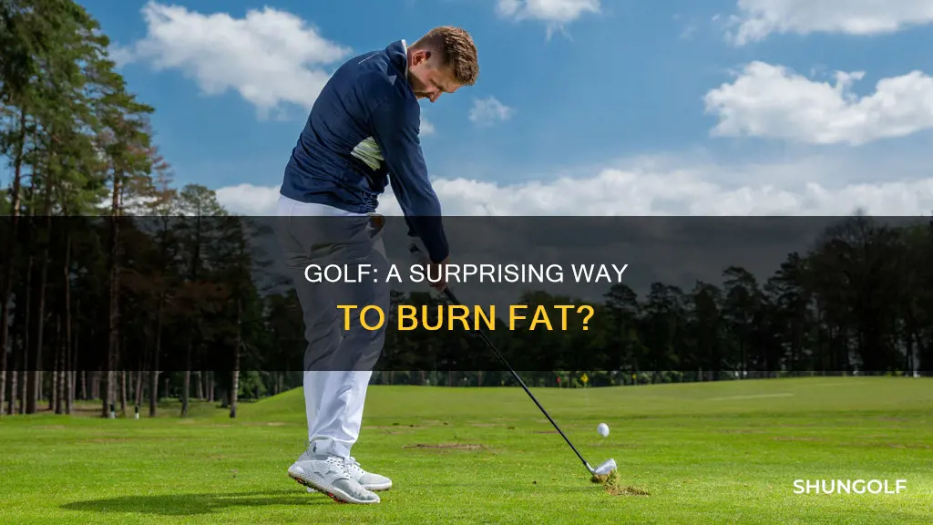 does golf burn fat