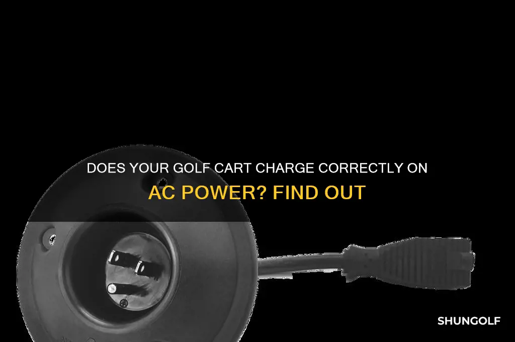 does golf cart charges charge correctly on ac