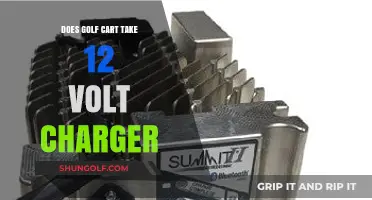 Can Golf Carts Use 12 Volt Chargers? Essential Charging Insights