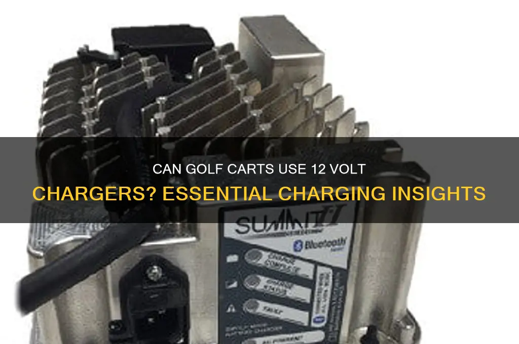 does golf cart take 12 volt charger