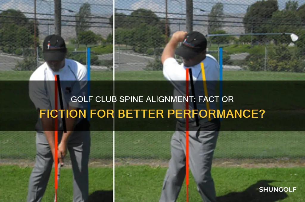 does golf club spine alignment work