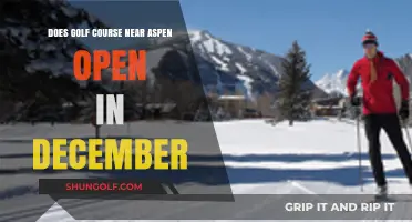 December Golfing Near Aspen: Are Local Courses Open This Winter?