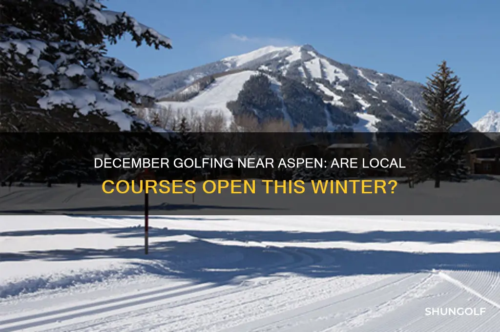 does golf course near aspen open in december