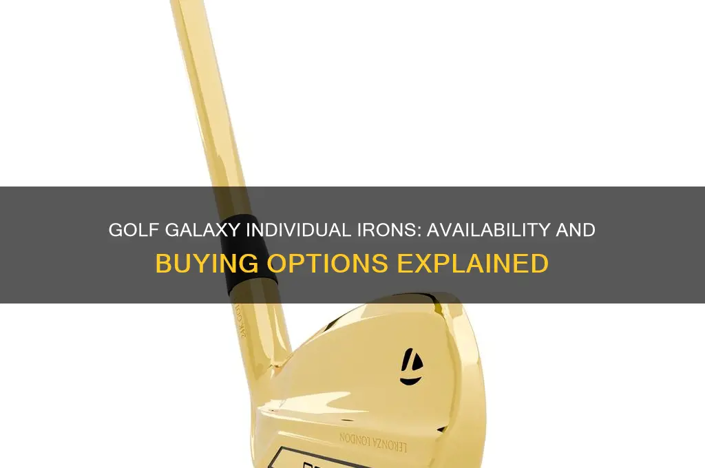 does golf galaxy sell individual irons