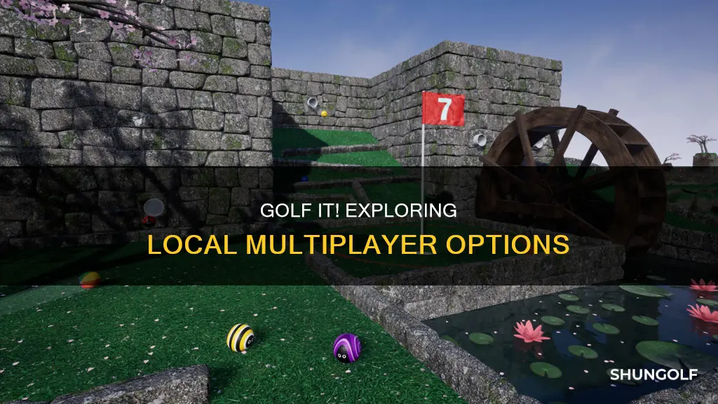 does golf it have local multiplayer