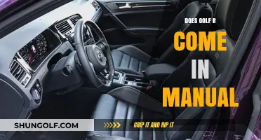 Golf R: Manual or Automatic?