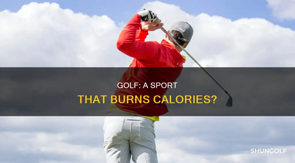 does golf really burn calories