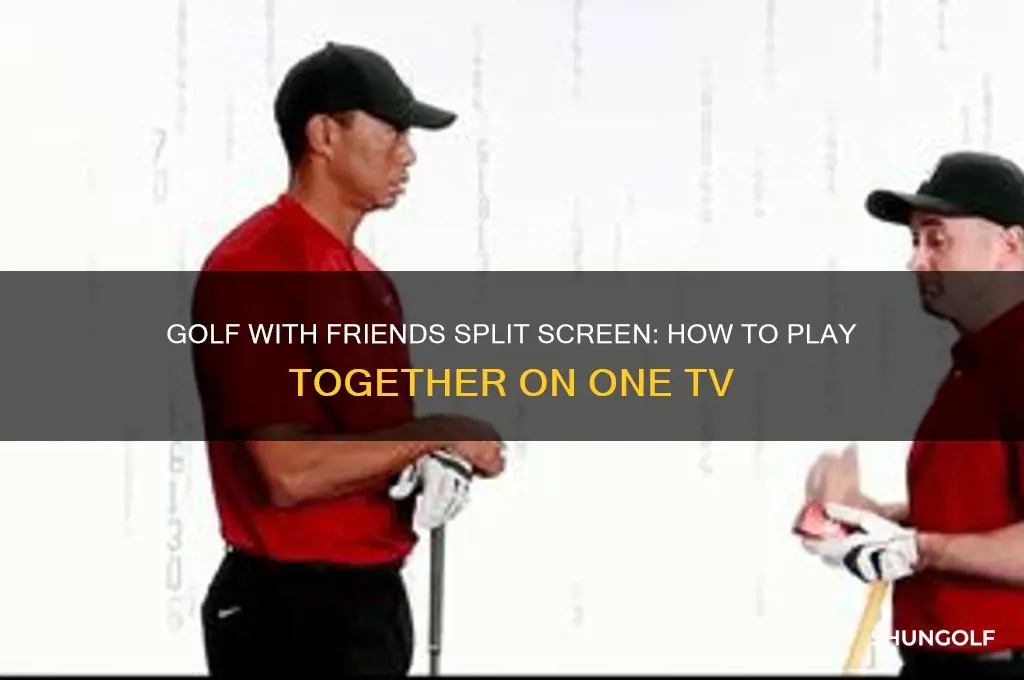 does golf with friends have split screen