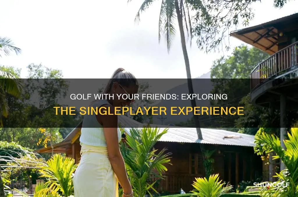 does golf with your friends have singleplayer