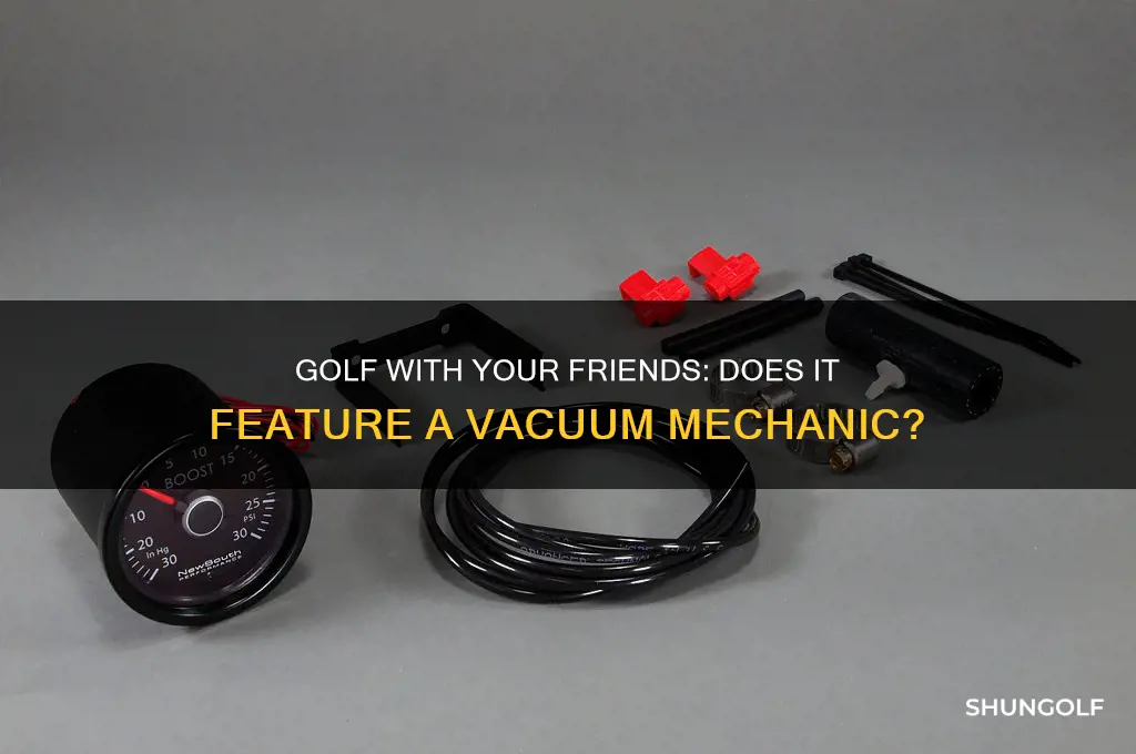 does golf with your friends have vac