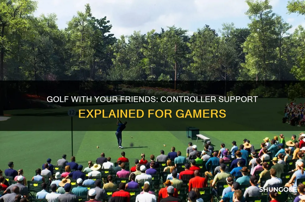 does golf with your friends support controllers