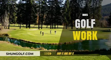 Golf: A Sport That Works Your Mind and Body