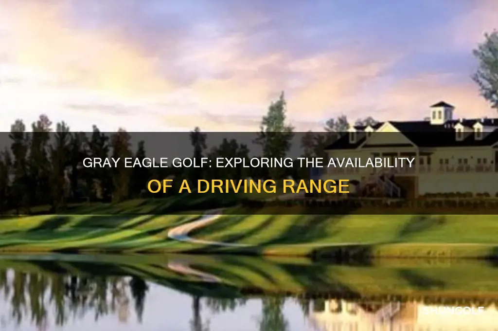 does gray eagle golf have a driving range