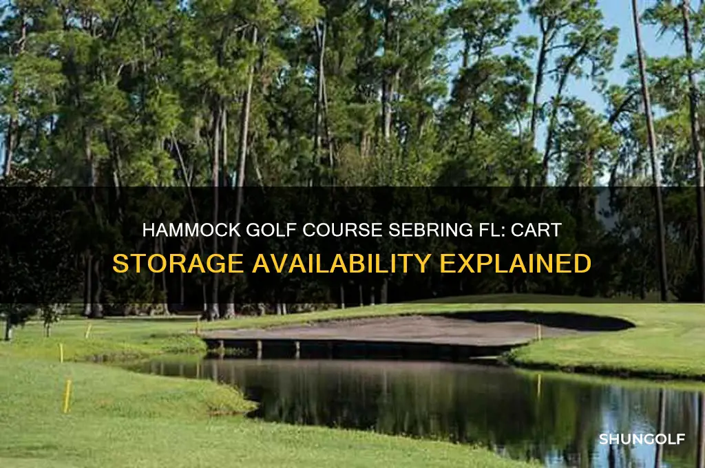 does hammock golf course sebring fl have cart storage