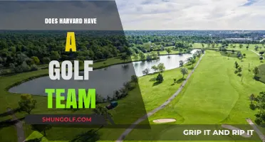 Golf at Harvard: A Team Effort?