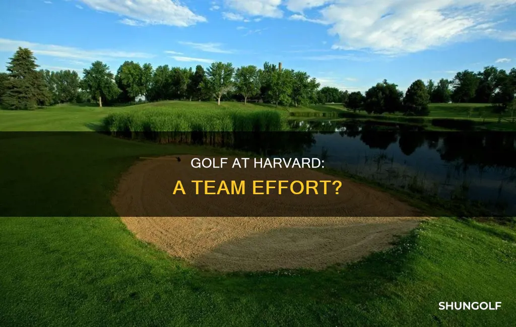 does harvard have a golf team