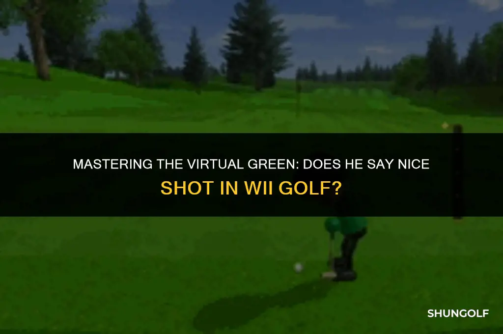 does he say nice shot in wii golf