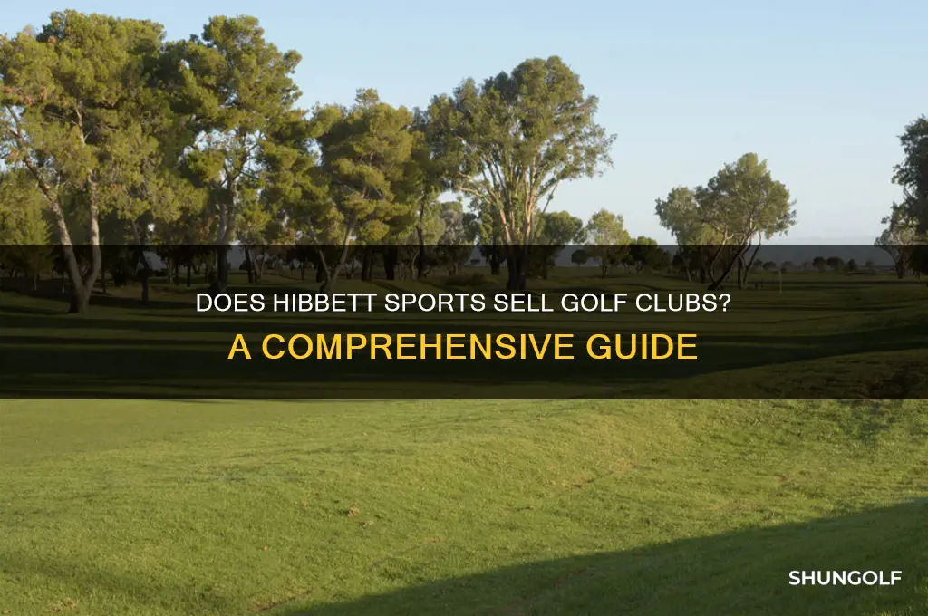 does hibbett sports sell golf clubs