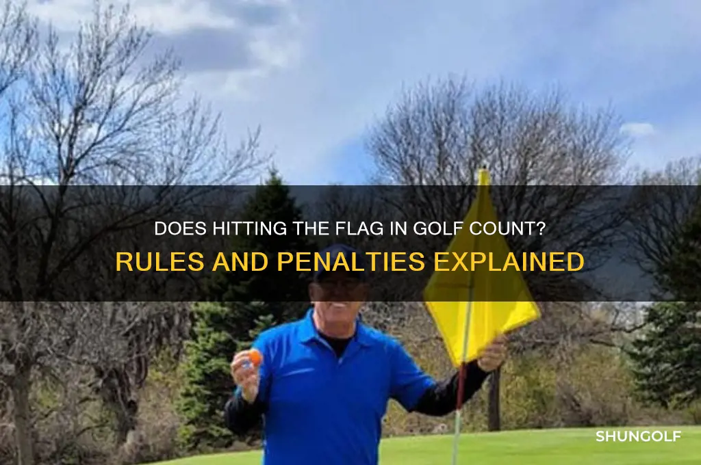 does hitting the flag in golf count