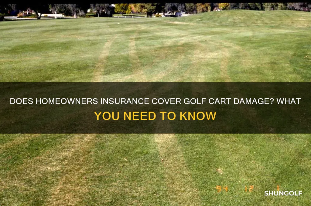 does homeowners insurance cover golf cart