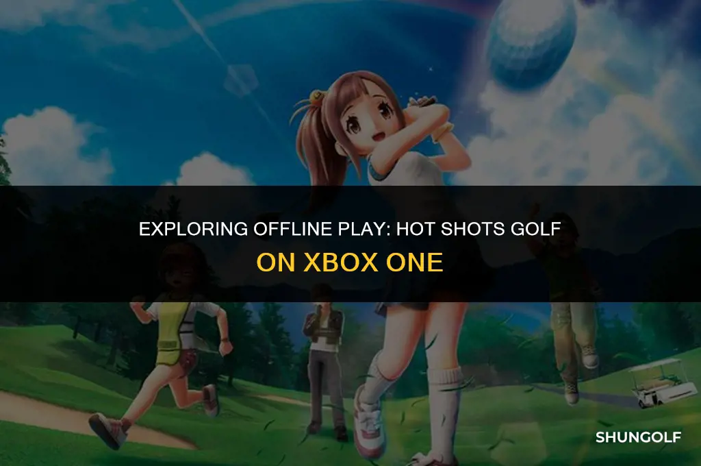 does hot shots golf for xbox one require internet