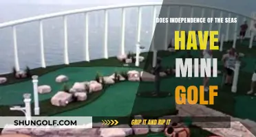 Independence of the Seas Mini Golf: Fun Activity on Board?
