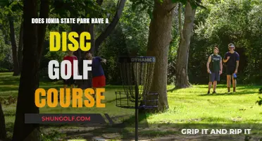 Exploring Ionia State Park: Disc Golf Course Availability Revealed