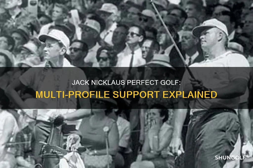 does jack nicklaus perfect golf allow for multiple profiles