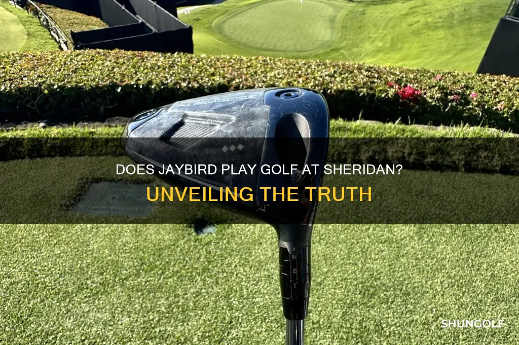 does jaybird play golf at sheridan