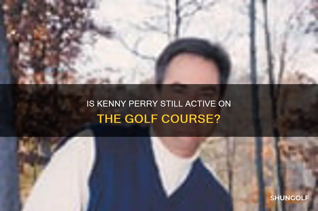 does kenny perry still play golf
