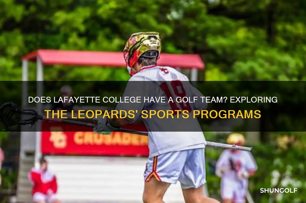 does lafayette college have a golf team