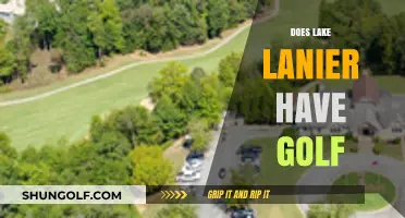 Golfing on Lake Lanier: A Hole-in-One Experience