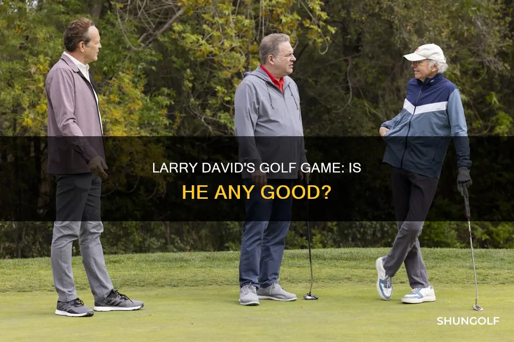 does larry david golf