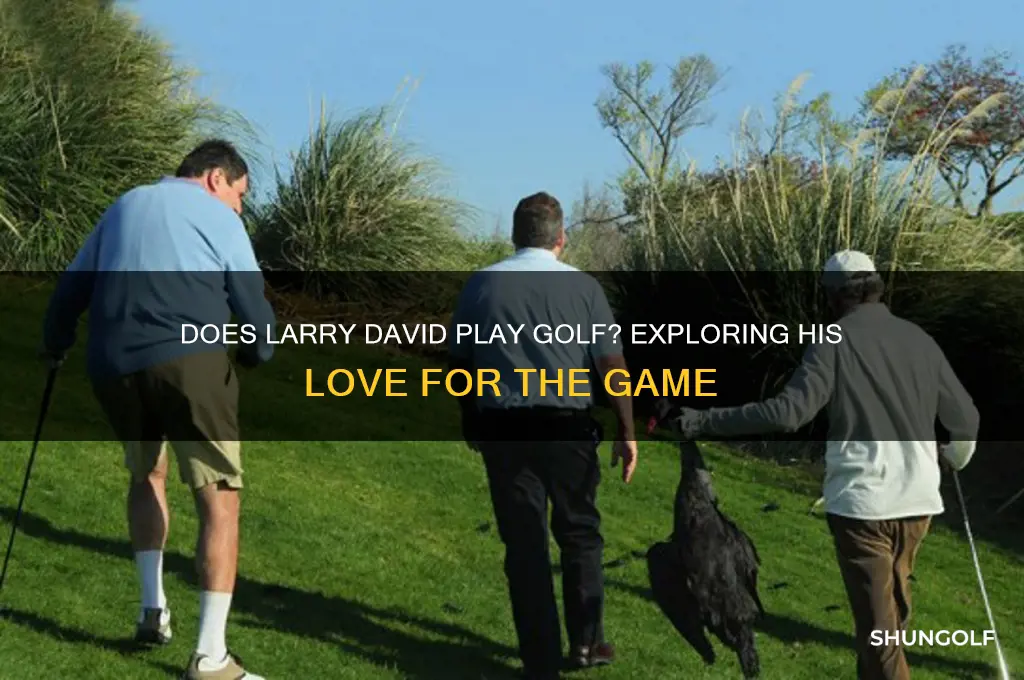 does larry david play golf