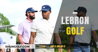 LeBron's Golf Game: A Hole-in-One?