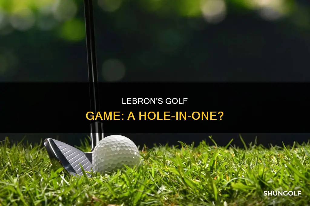 does lebron golf