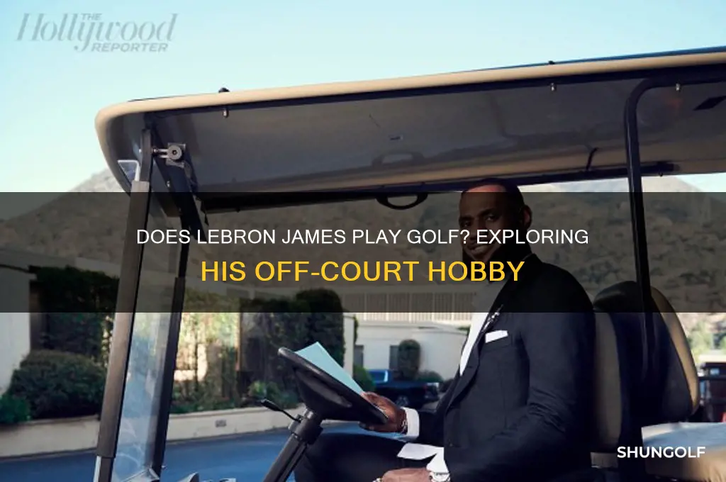 does lebron james play golf