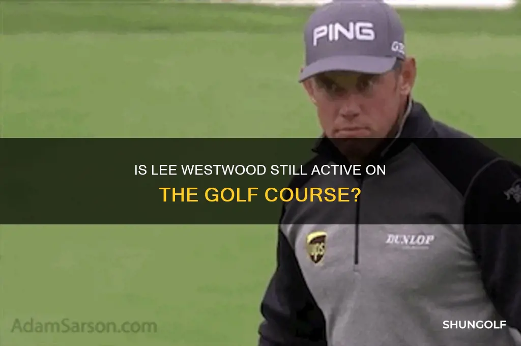 does lee westwood still play golf
