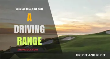 Los Feliz Golf: Exploring the Availability of a Driving Range