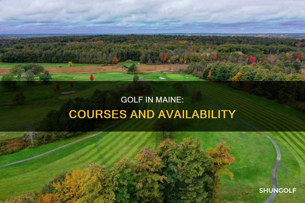 does maine have golf