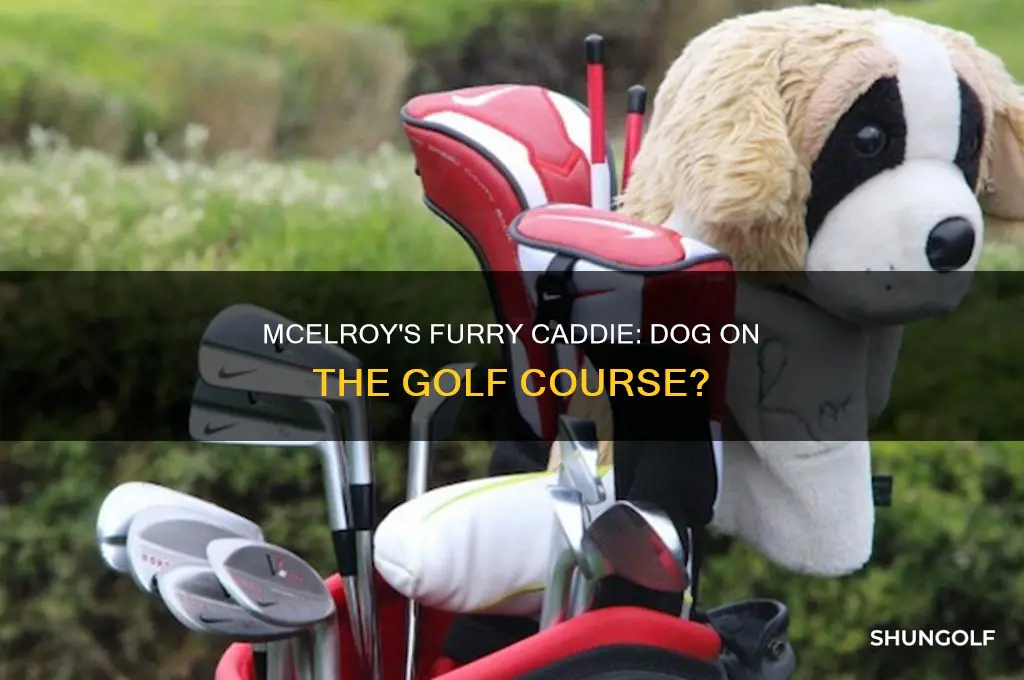 does mcelroy golfer have a dog on the course