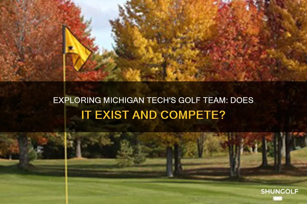 does michigan tech have a golf team