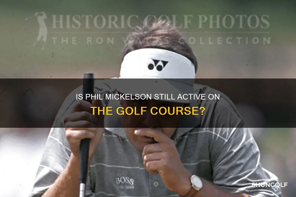 does mickelson still play golf